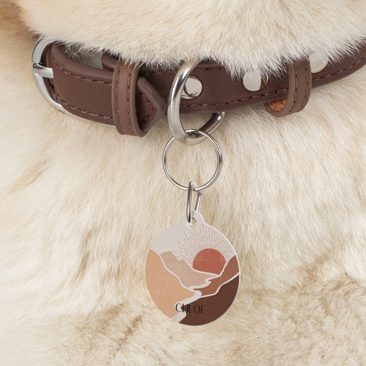 Pet ID Tag