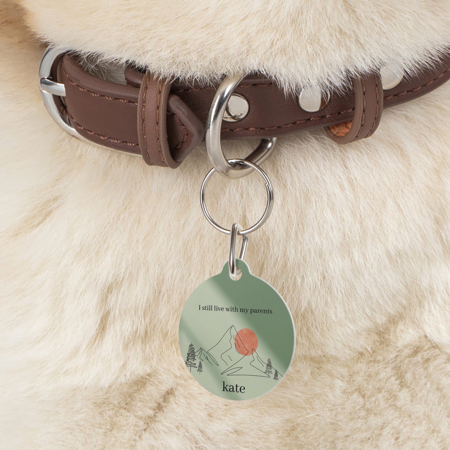 Pet ID Tag