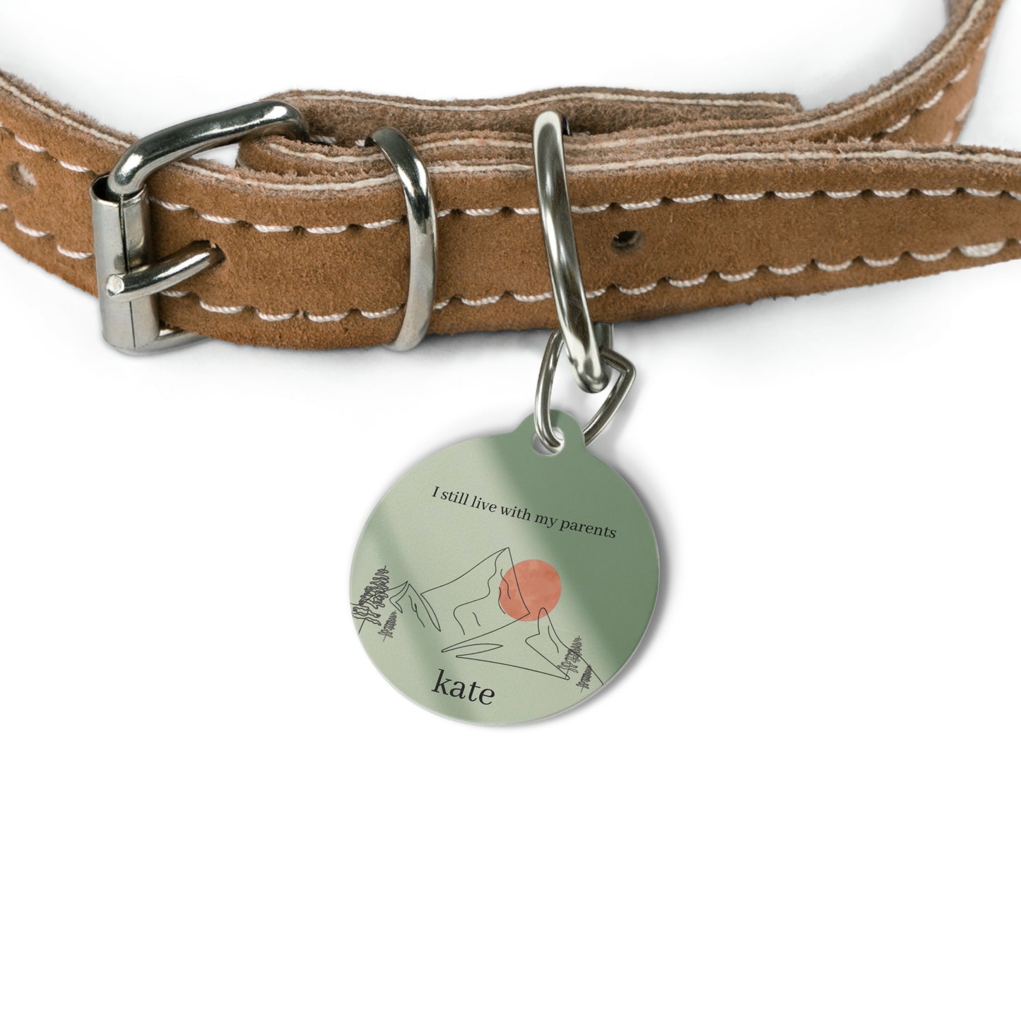 Pet ID Tag